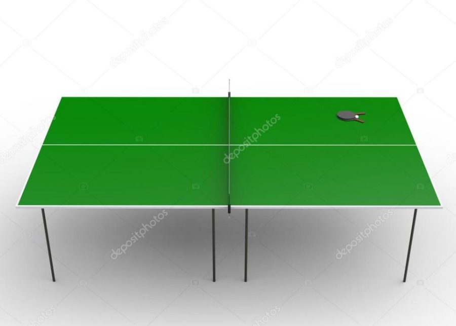 Ping - pong table top view