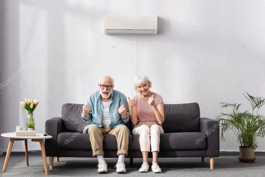 Cheerful senior couple showing thumbs up and yeah gestures on sofa at home