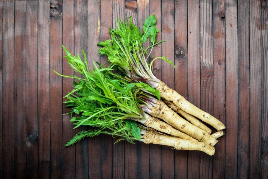 2 Organic Horseradish Crowns / Roots / Plants - Easy To Grow - Hottest - Vigorou