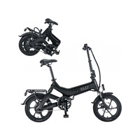 250W Riley eBike: Foldable Electric/Manual Modes LCD Up to 80km Adjustable