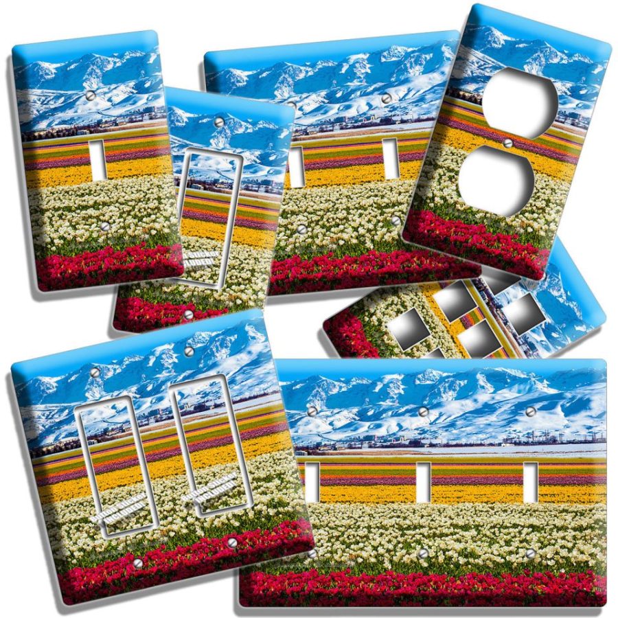 FLORAL FLOWER FIELD SNOWY MOUNTAINS LIGHT SWITCH OUTLET WALL PLATE ROOM HD DECOR