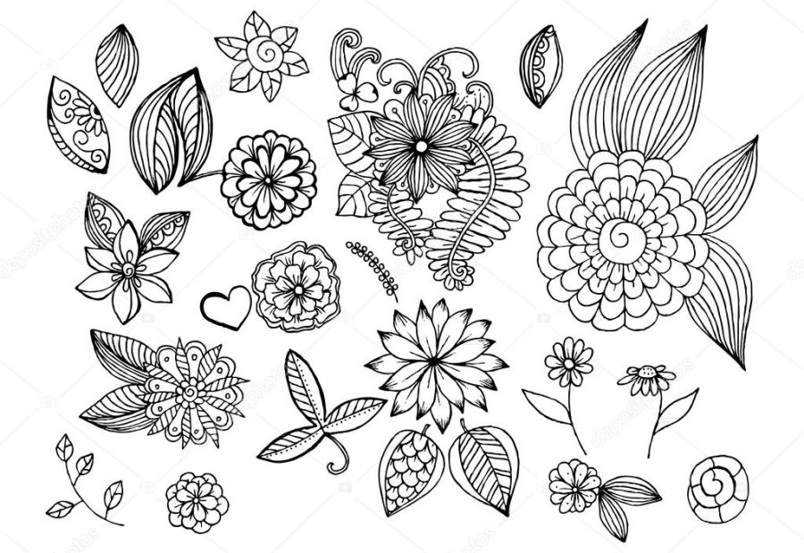Floral design elements in black and white