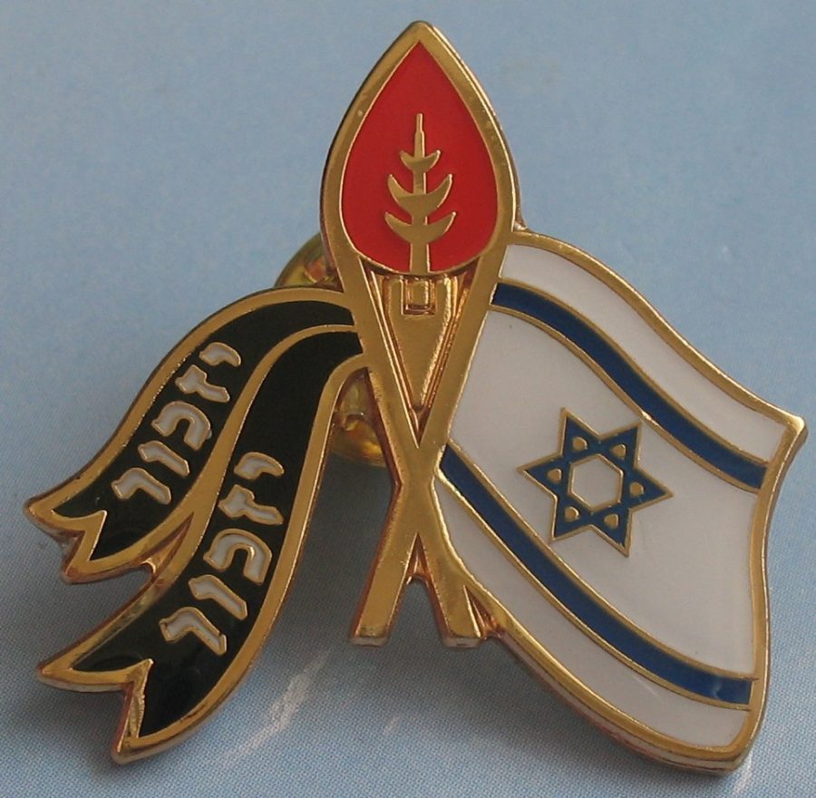 IDF soldiers Memorial day pin "Izkor" Israel army flag torch
