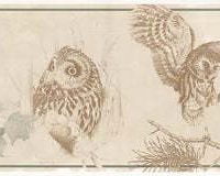 Owls GL76351 Wallpaper Border