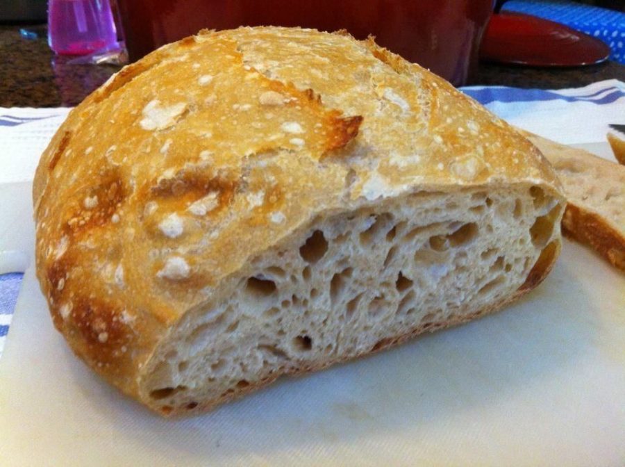 sourdough starter BREAD YEAST OUR FAVORITE FOOTHILLS Larry very sour and old