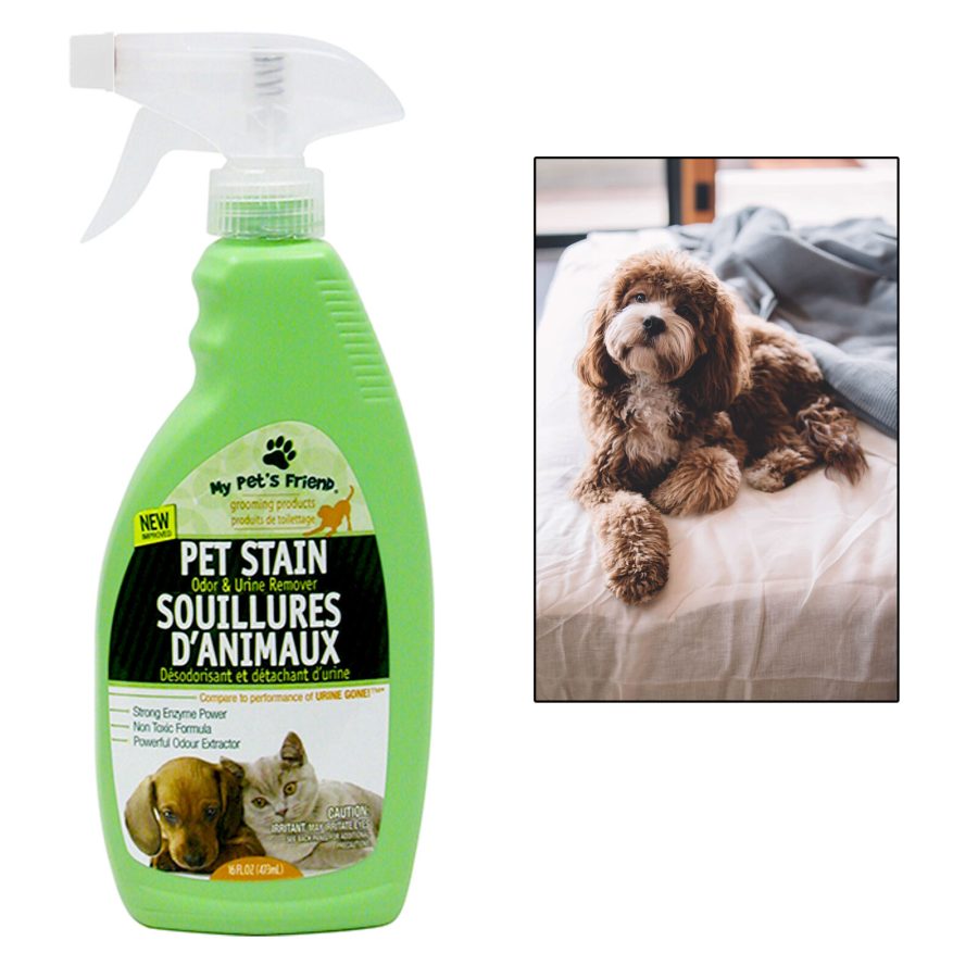 1 Pet Carpet Stain Odor Urine Remover Cleaner Non Toxic Rug Furniture Cleanser