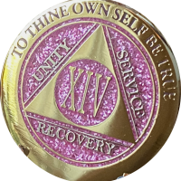 14 Year AA Medallion Elegant Glitter Pink Gold Plated Sobriety Chip Coin