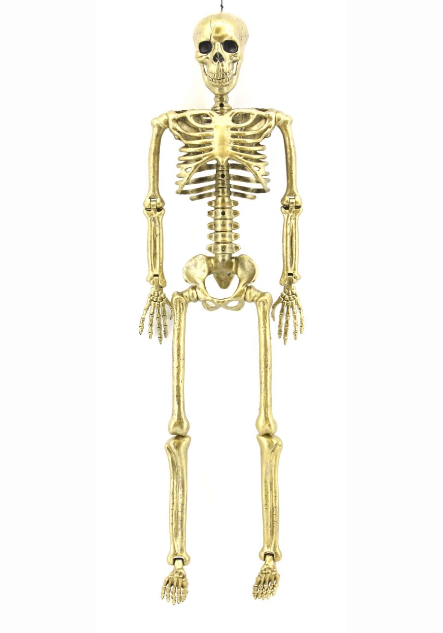 24 Gold Skeleton