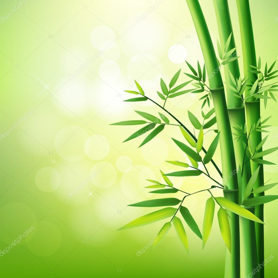 Bamboo green on natural background