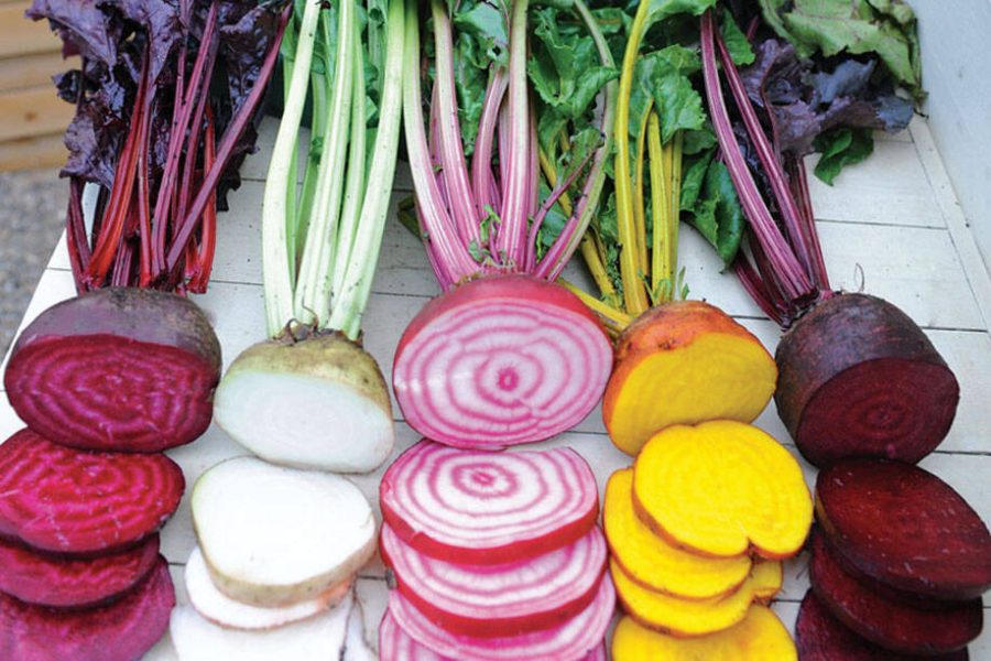 Beetroot Mixed Blood Yellow White Color Vegetable, 50 seeds