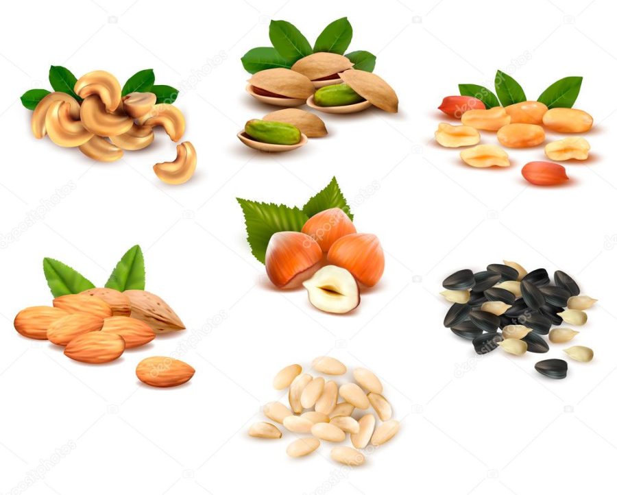 Big collection of ripe nuts Vector