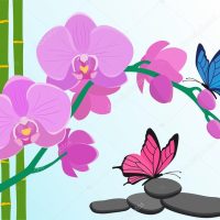 Branch of pink orchids, bamboo stems and butterflies in flat sty