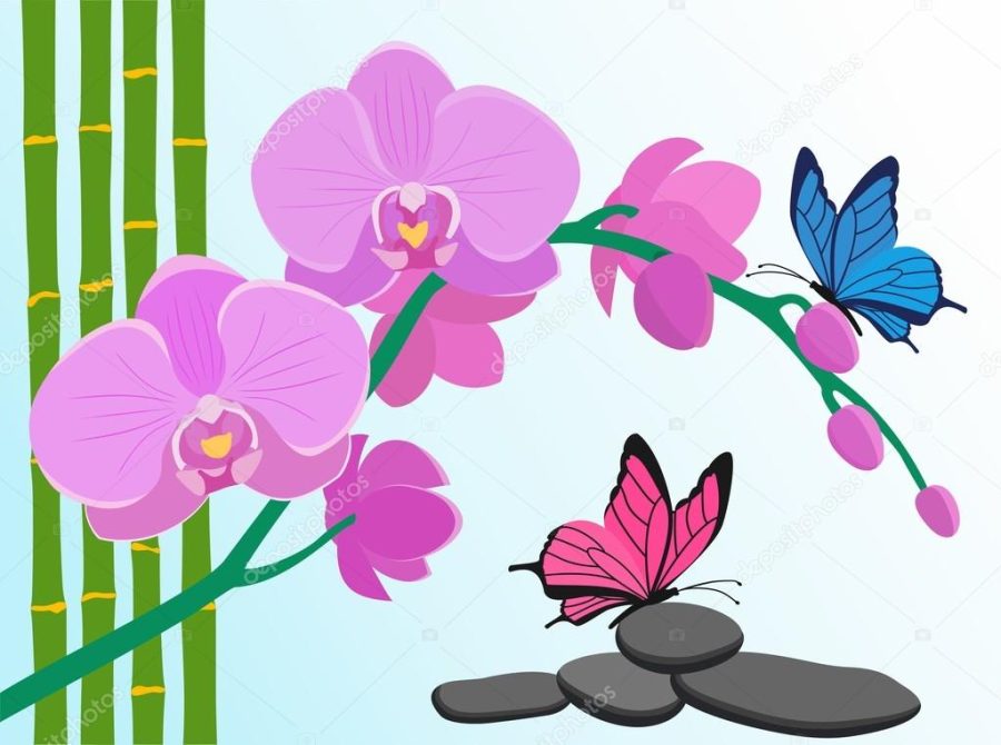 Branch of pink orchids, bamboo stems and butterflies in flat sty