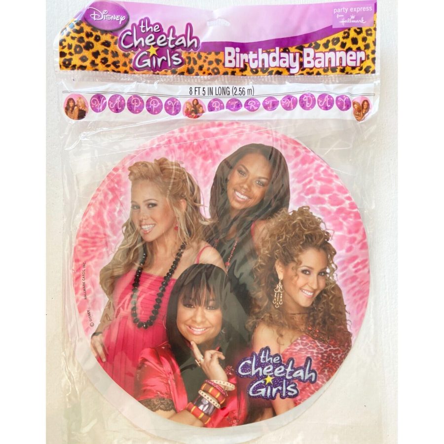Cheetah Girls Birthday Banner Over 8 Feet Long Party Decorations New