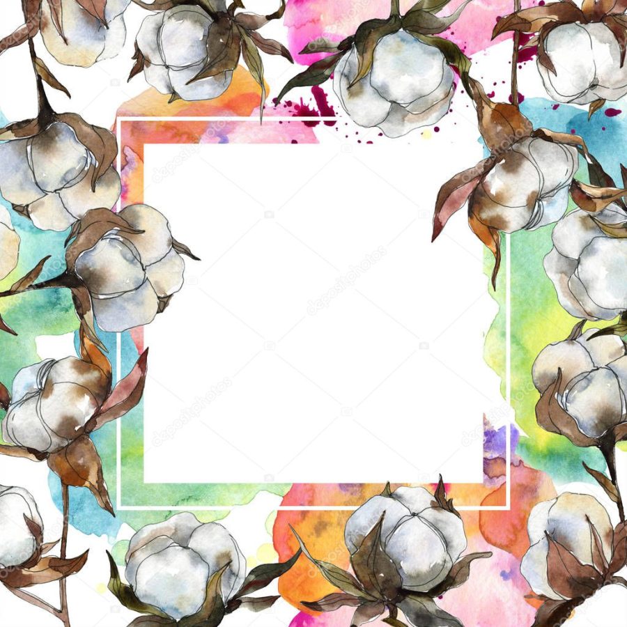 Cotton floral botanical flower. Watercolor background illustration set. Watercolour drawing fashion aquarelle isolated. Frame border ornament square.