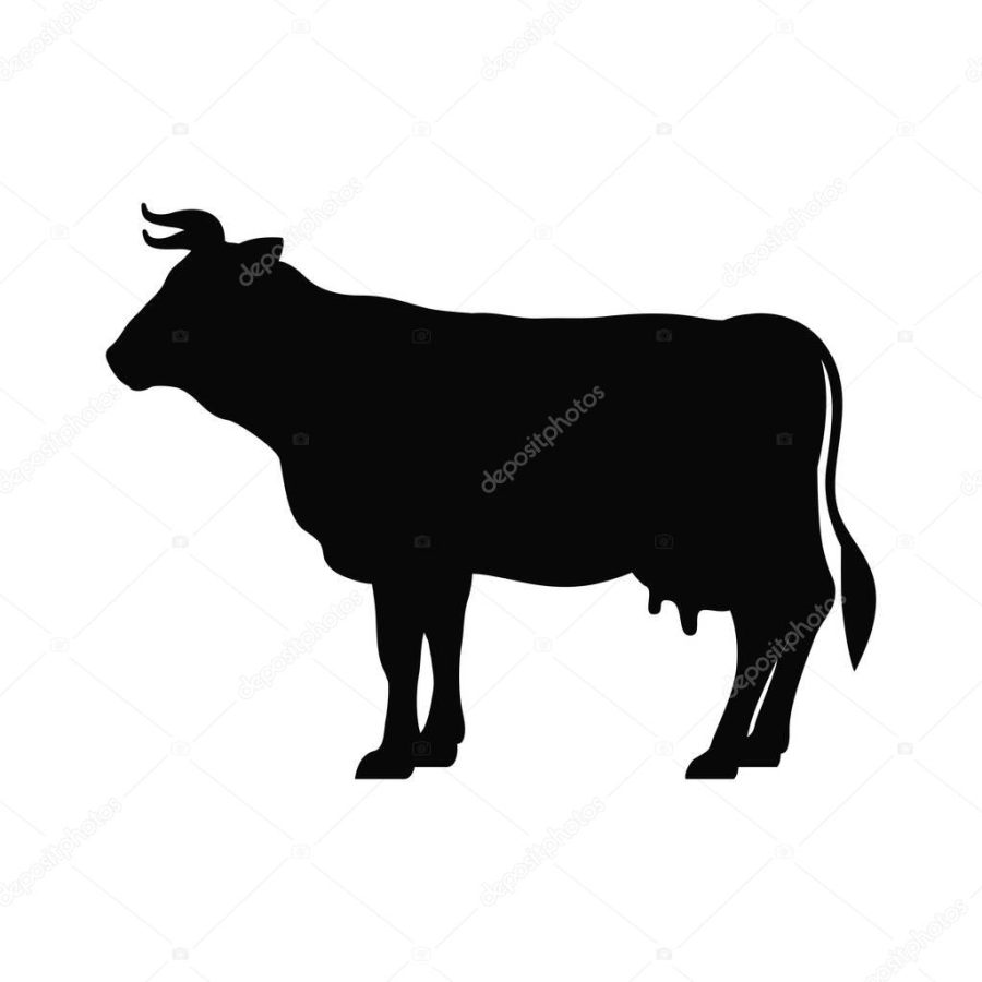 Cow livestock animal design