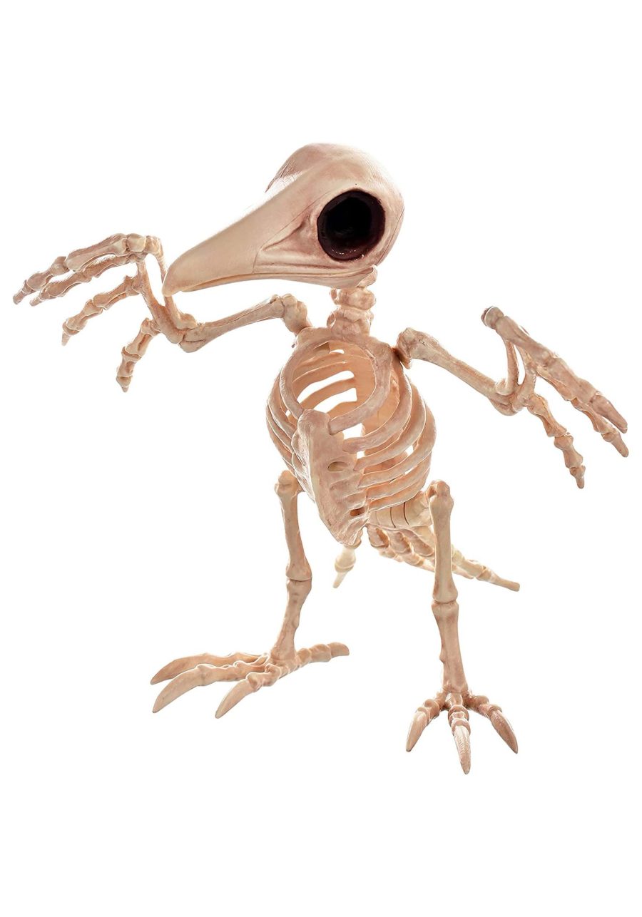 Creepy 10.5 Raven Skeleton