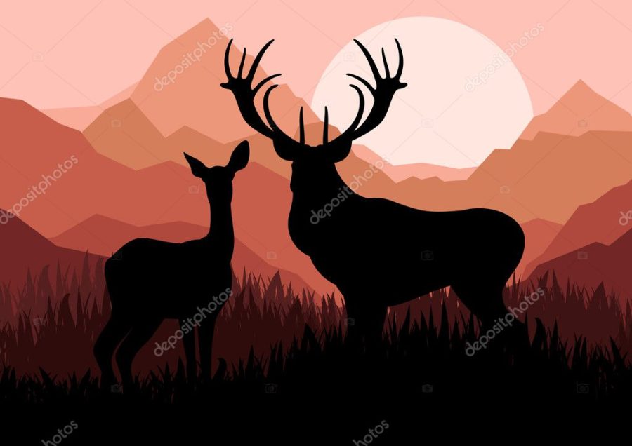 Deer family couple silhouettes in wild mountain nature landscape