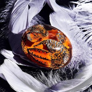 Dream Lava Dragon Egg