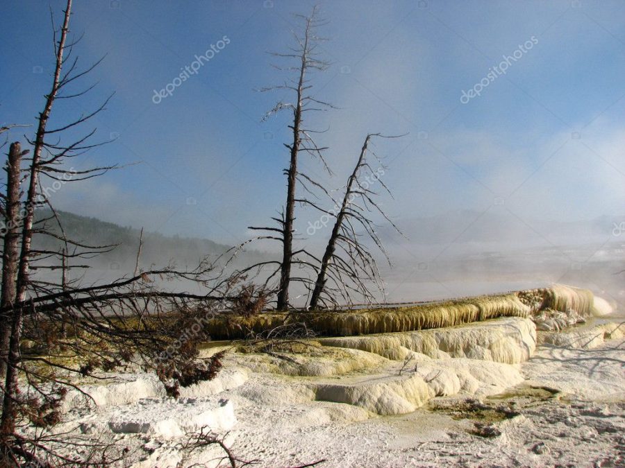 Geyser, Yellowstone National Park in the state of Wyoming