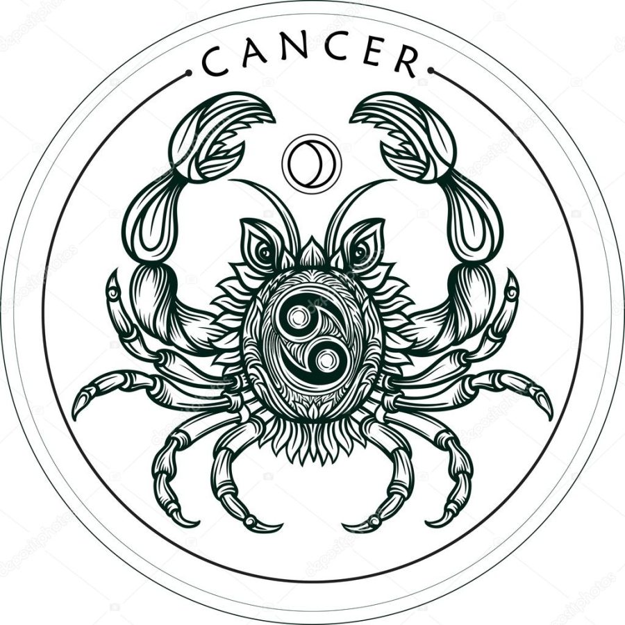 Hand drawn romantic beautiful line art of zodiac cancer. Vector illustration isolated. Ethnic design, mystic horoscope symbol for your use. Ideal for tattoo art, coloring books. Zentangle style.