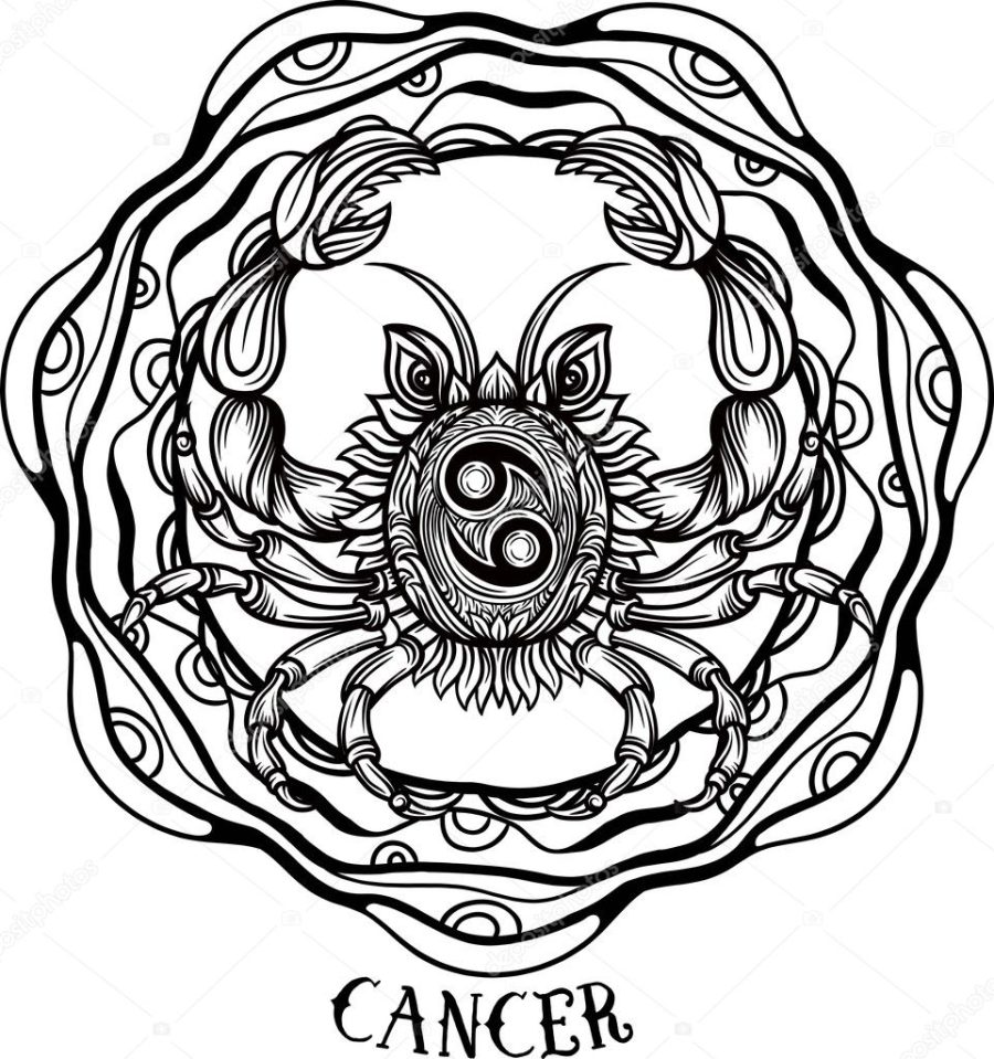Hand drawn romantic beautiful line art of zodiac cancer. Vector illustration isolated. Ethnic design, mystic horoscope symbol for your use. Ideal for tattoo art, coloring books. Zentangle style.