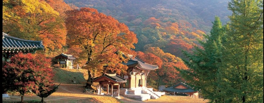 Japan, Singapore and Korea 11 Days from $1,899