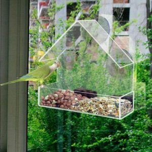 Little House Clear Bird Feeder