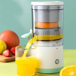 Mini Juicer