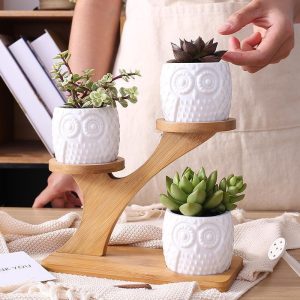 Owl Succulent Planter