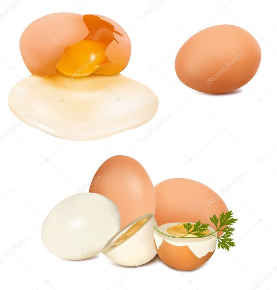 Photo-realistic vector of egg.