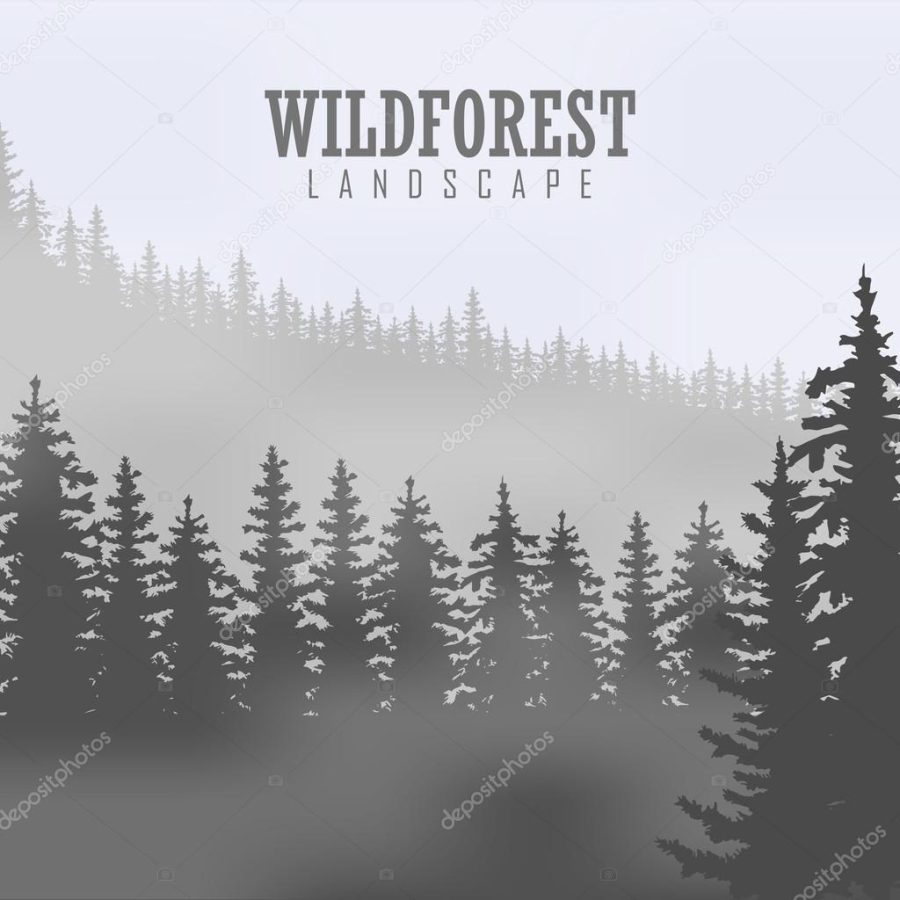 Pine tree, landscape nature, wood natural panorama. Outdoor camping design template. Vector illustration