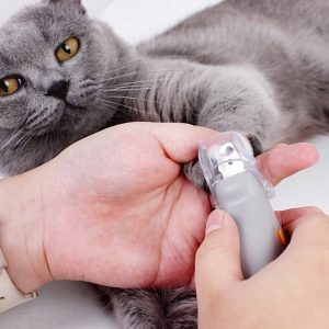 Professional Pet Nail Clipper With LED Light