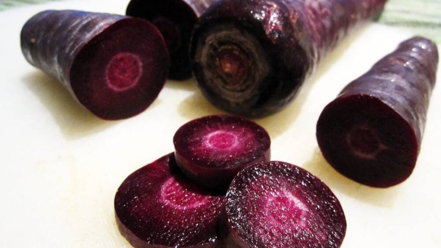 Rare Organic Dark Purple Edible Carrot, 100 seeds
