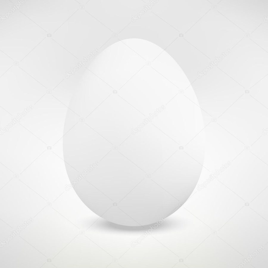 Realistic Isolated Egg. Vector Illustration
