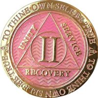 Recoverychip 2 Year AA Medallion Reflex Pink Gold Plated Alcoholics Anonymous Ch
