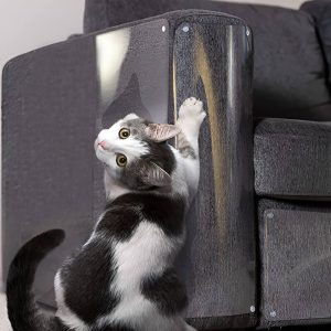 Safe Scratch Furniture Protector