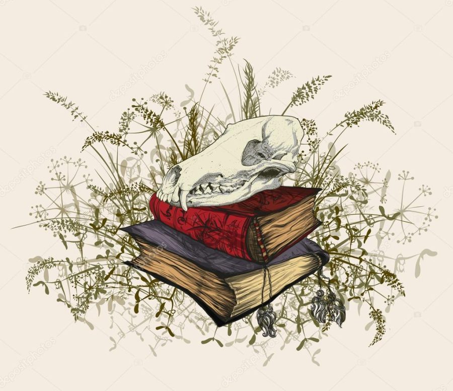 Skull in the occult books, surrounded by a grass.