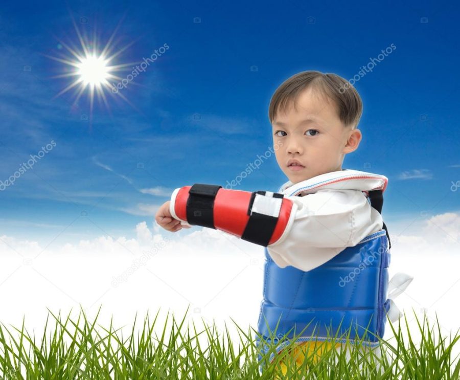 Teakwondo boy
