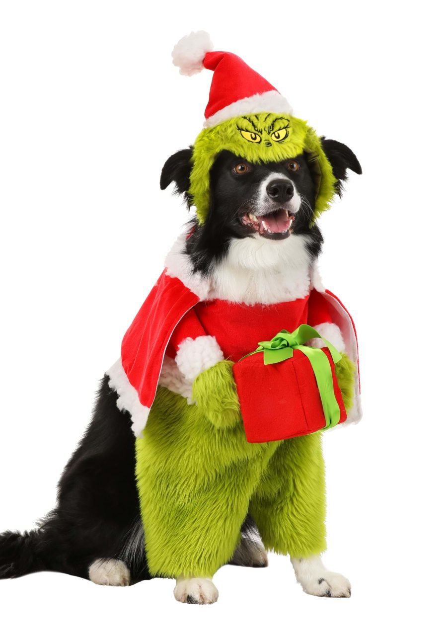 The Grinch Santa Pet Costume