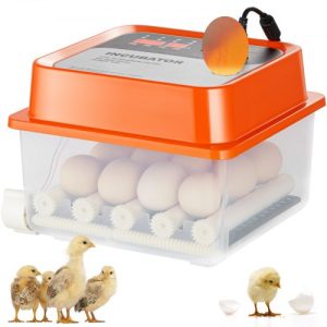 VEVOR Egg Incubator, Incubators for Hatching Eggs, Automatic Egg Turner with with Temperature and Humidity Control, 12 Eggs Poultry Hatcher with ABS Transparent Shell for Chicken, Duck, Quail