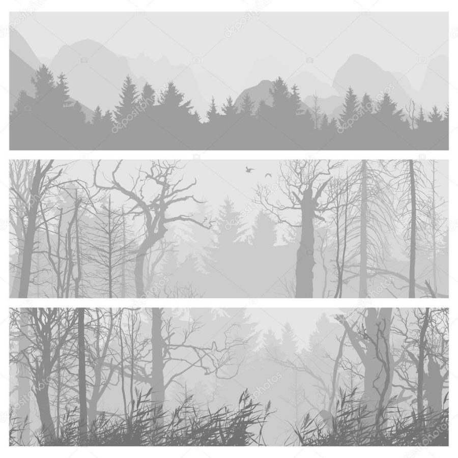 Wild forest horizontal banners.