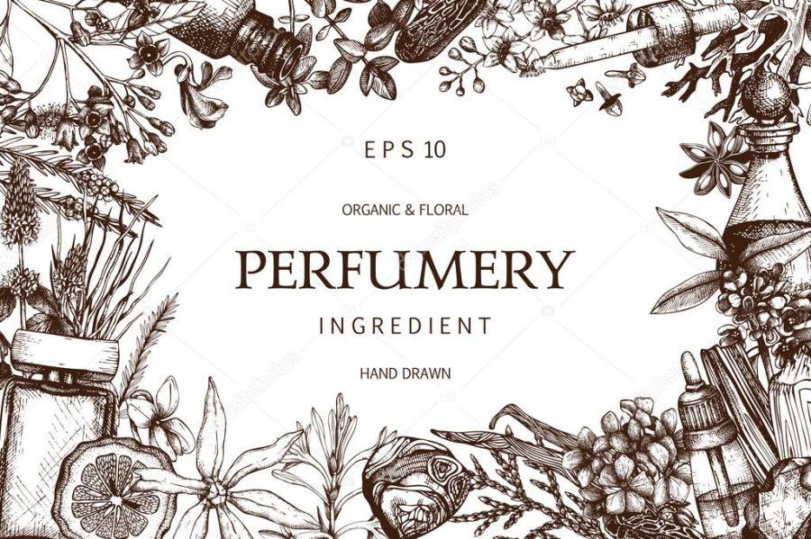 design for cosmetics and perfumery