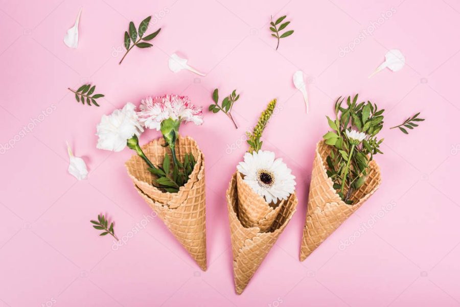 flowers in sugar cones