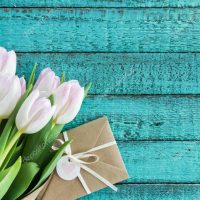 light pink tulips and envelope