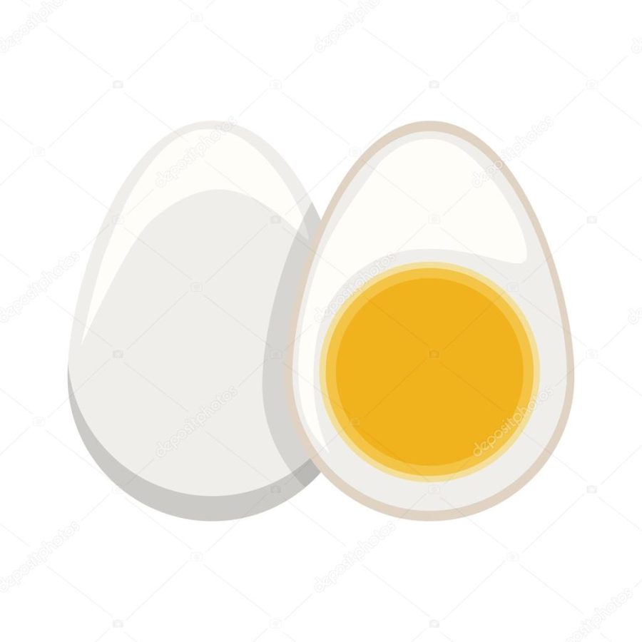 silhouette color boiled egg and half boiled egg
