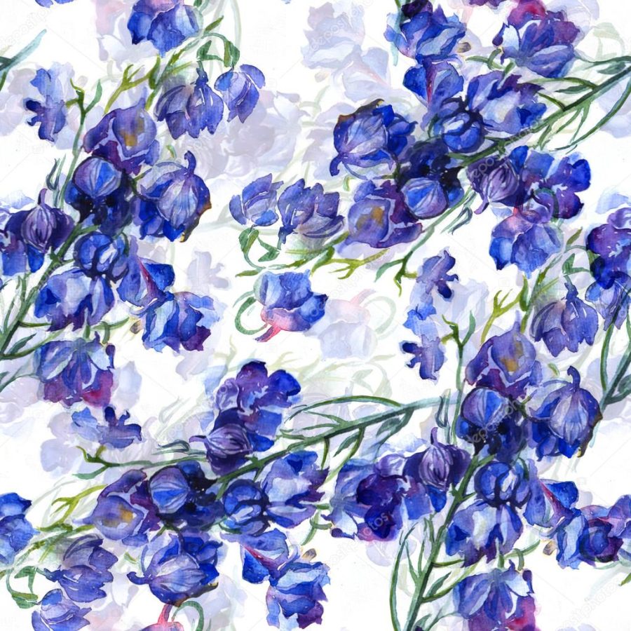 watercolor decorative flowers