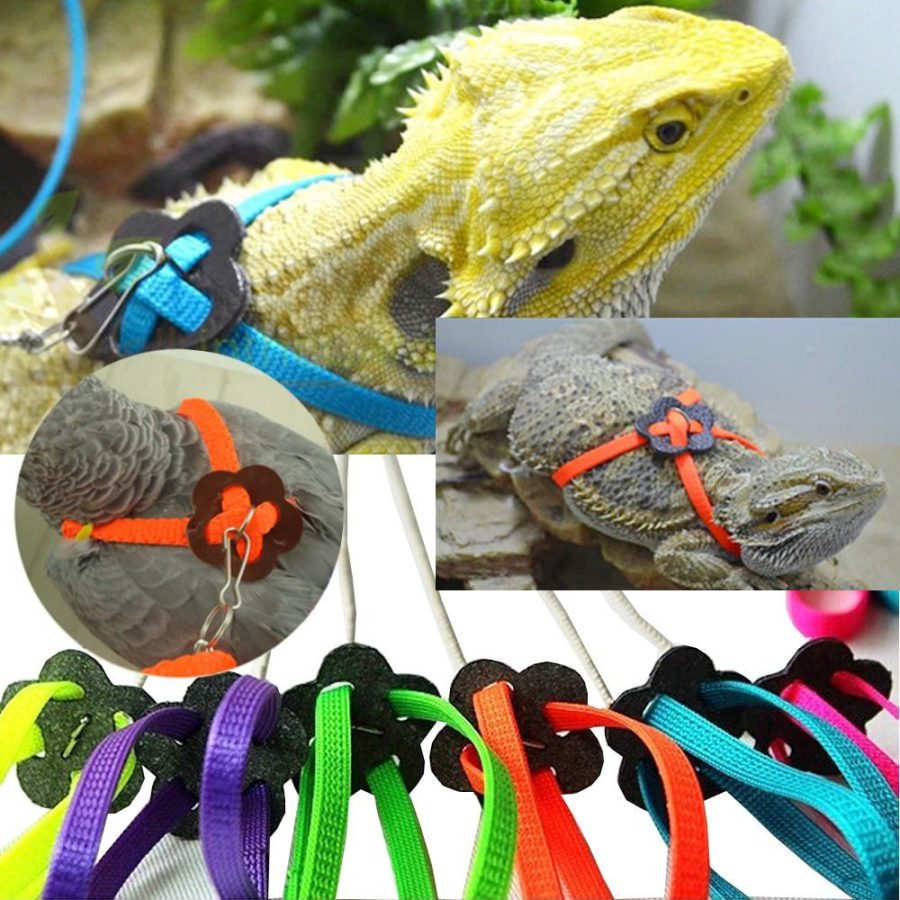 1 Pc Adjustable Reptile Harness Leash Durable Multi color Light Soft Fashion