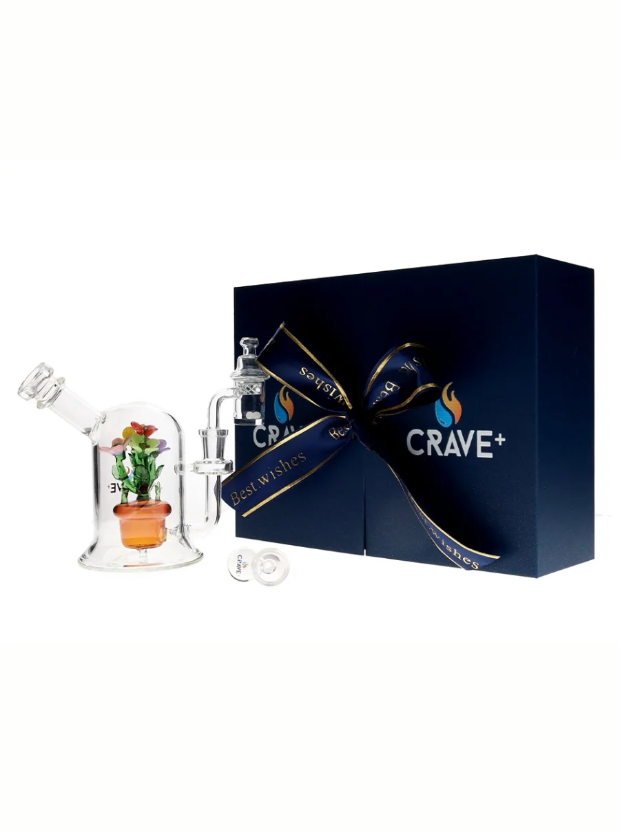 Crave+ Mini Swirl Water Pipe Gift Set