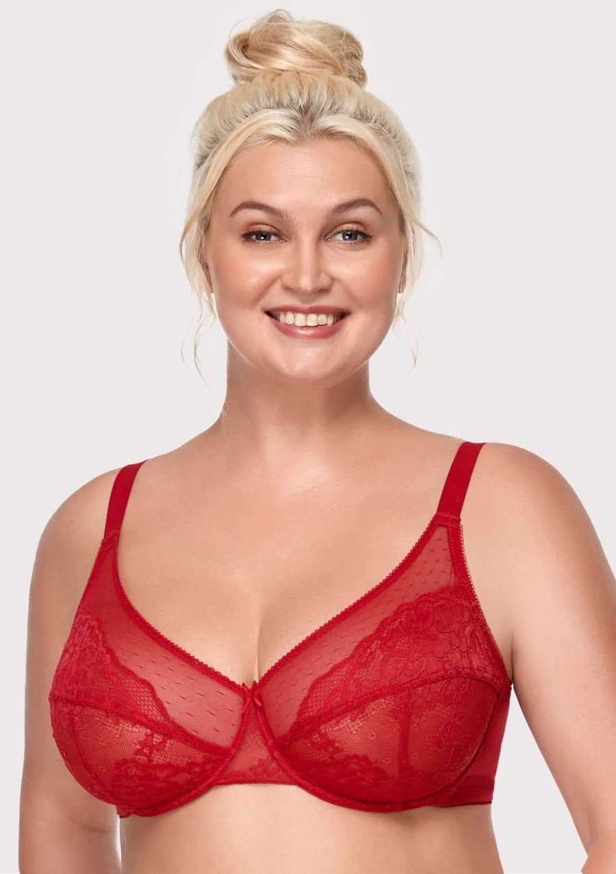 HSIA Enchante Full Support Lace Underwire Bra: Ideal for Big Breasts - Crimson / 34 / C